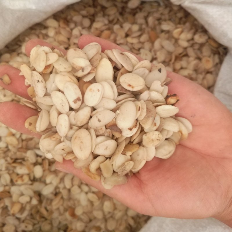 振兴药材批发供应炒桃仁规格齐全产地直供一手货源全国发货