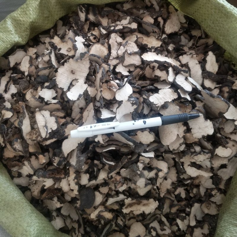 振兴药材批发茱苓猪苓规格齐全产地直供一手货源全国发货