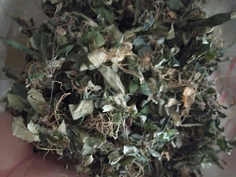 野生白背草，价格贵在品质，量大优惠，咨询有货下单