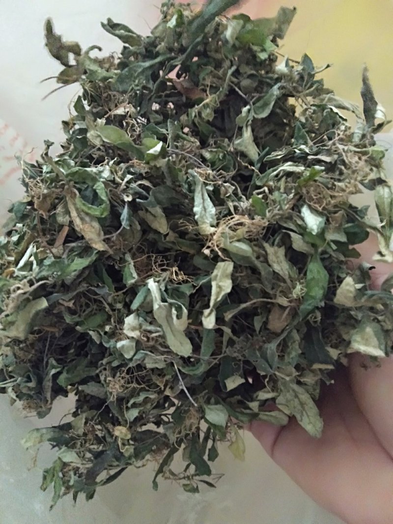 野生白背草，价格贵在品质，量大优惠，咨询有货下单