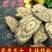 雾水葛地消散脓见消供应上千种中药材