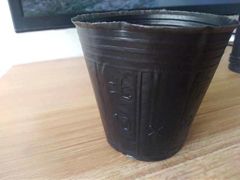 营养钵10×10～10000个，口直径8.5包邮到家！