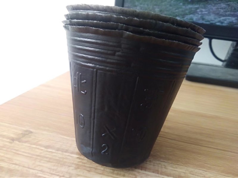 营养钵10×10～10000个，口直径8.5包邮到家！