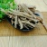 荠苨白面根杏参梅参供应上千种中药材