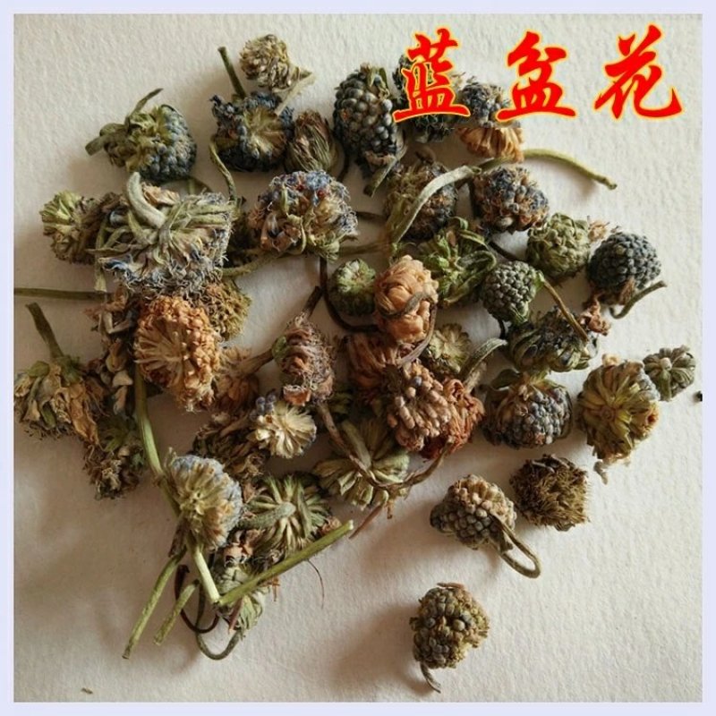 正品兰盆花蓝盆花供应上千种中药材