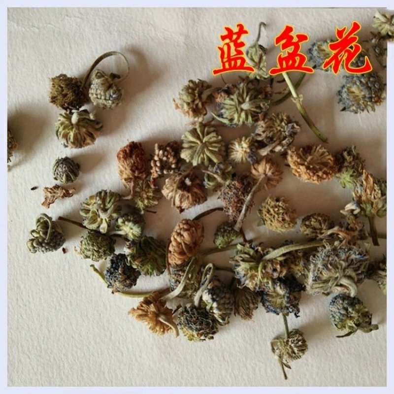 正品兰盆花蓝盆花供应上千种中药材