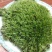 苔藓