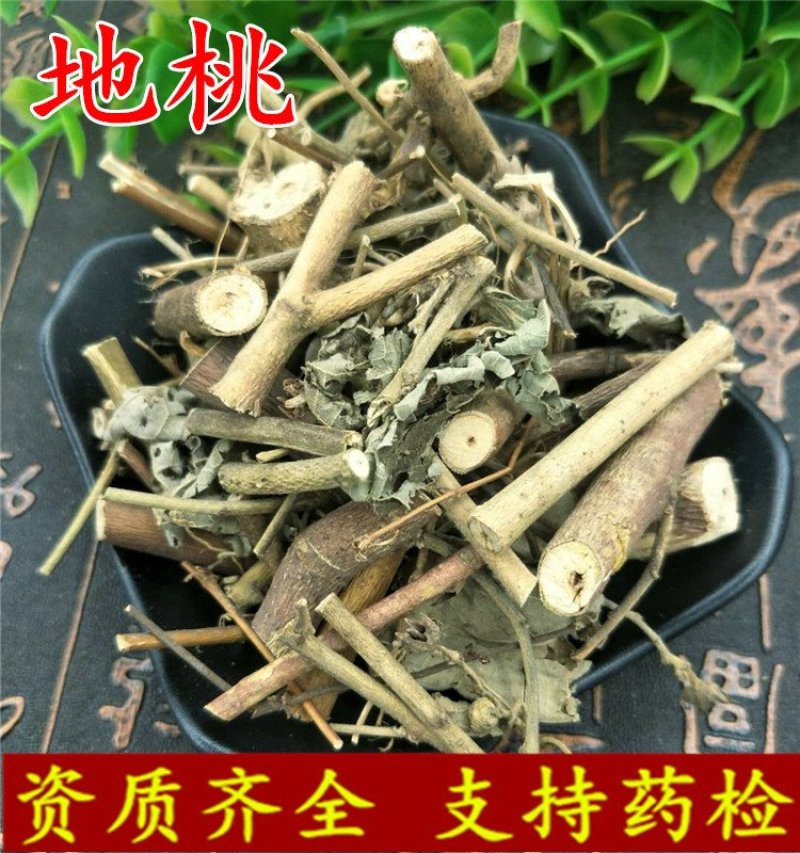地桃花野桃花野棉花供应上千种中药材
