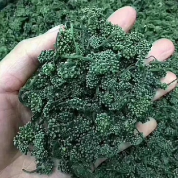 长白山人参花吉林抚松人参花特产泡水东北土特产