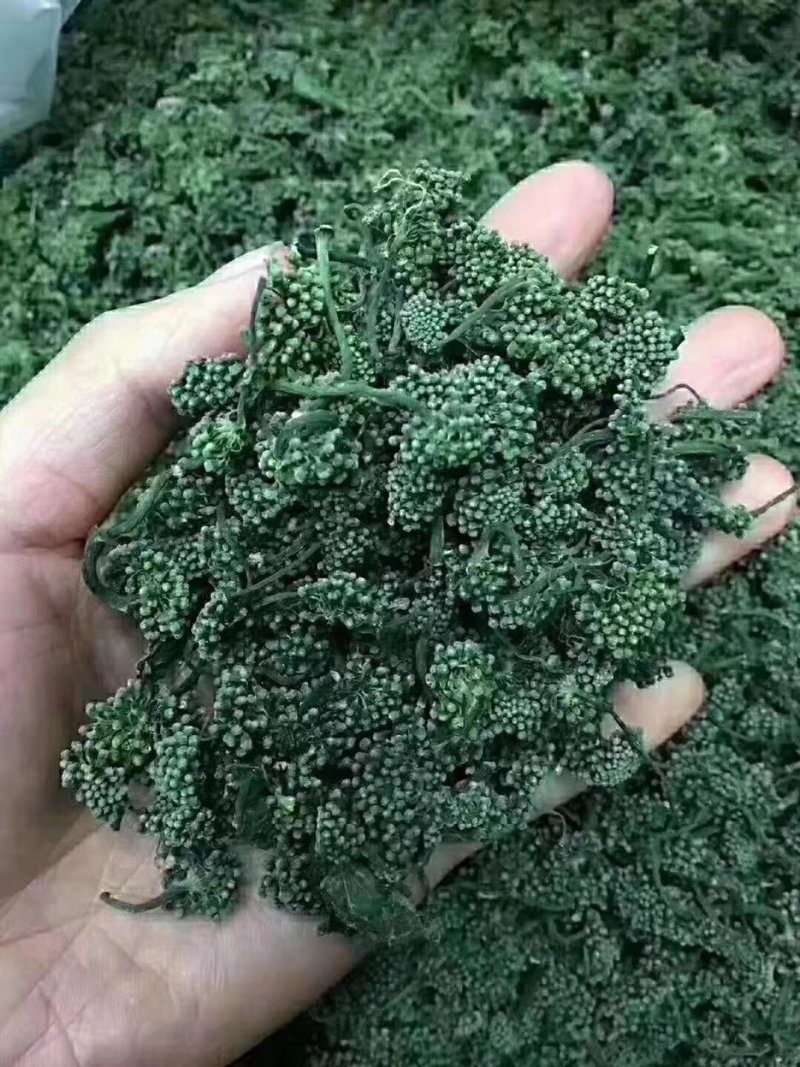 长白山人参花吉林抚松人参花特产泡水东北土特产