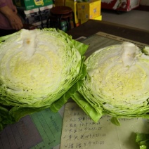 甘蓝