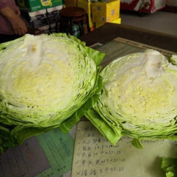 甘蓝