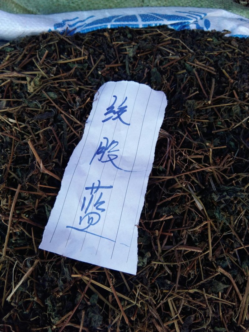 胶股蓝