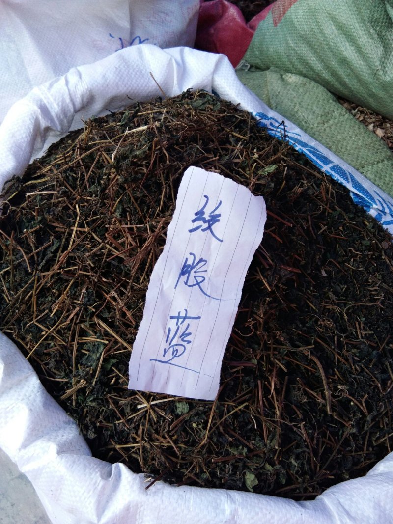 胶股蓝