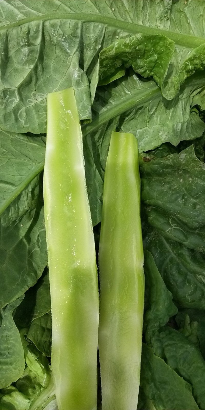 翠竹三清