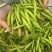 黄花菜金针菜