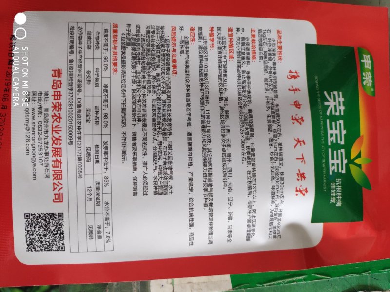 白菜种子荣宝宝娃娃菜种子2袋包邮
