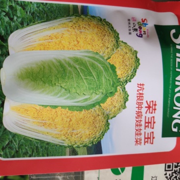 白菜种子荣宝宝娃娃菜种子2袋包邮