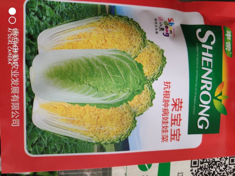 白菜种子荣宝宝娃娃菜种子2袋包邮