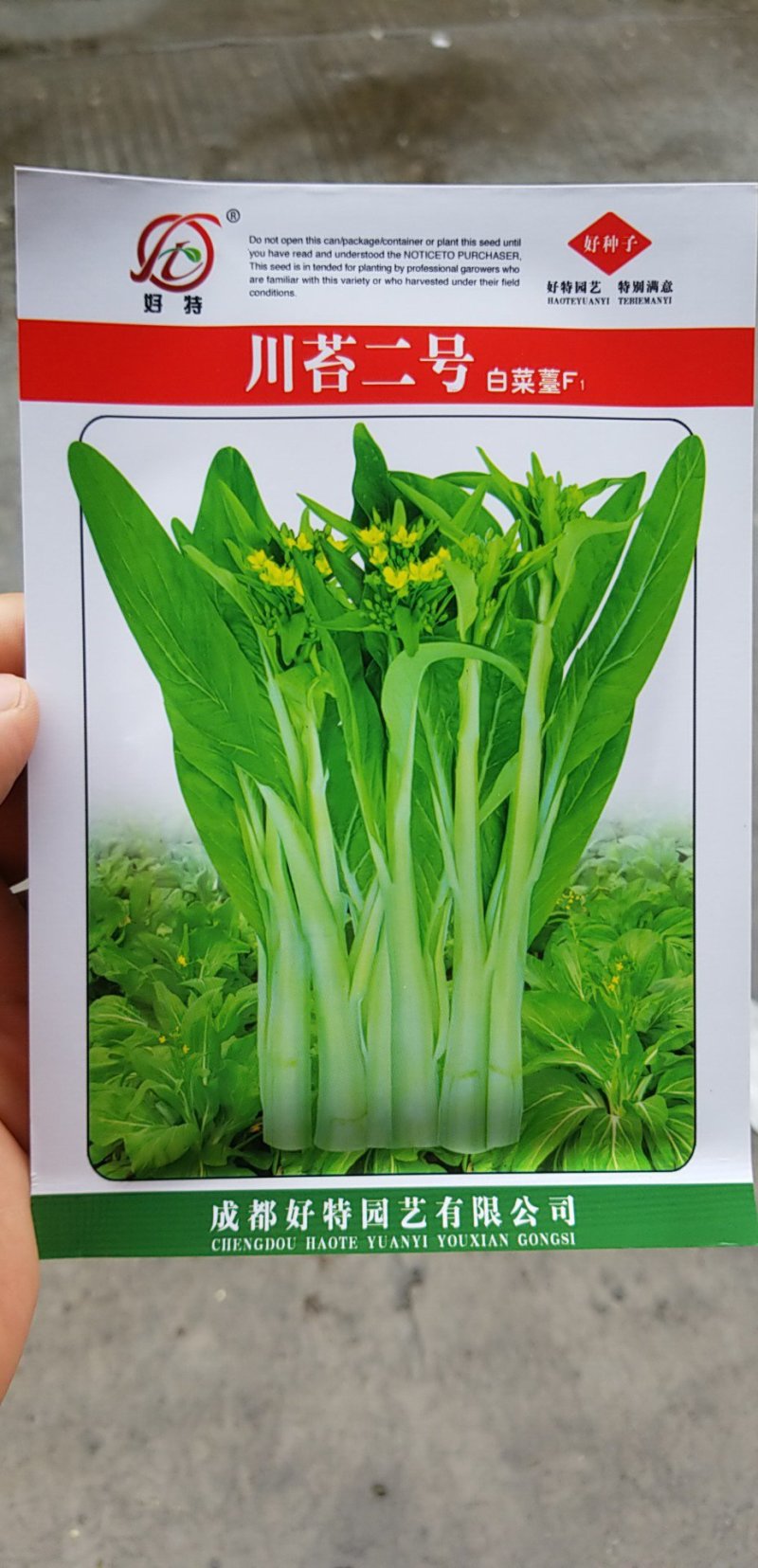 菜苔种子牛商推荐量大从优