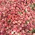 映霜红毛桃