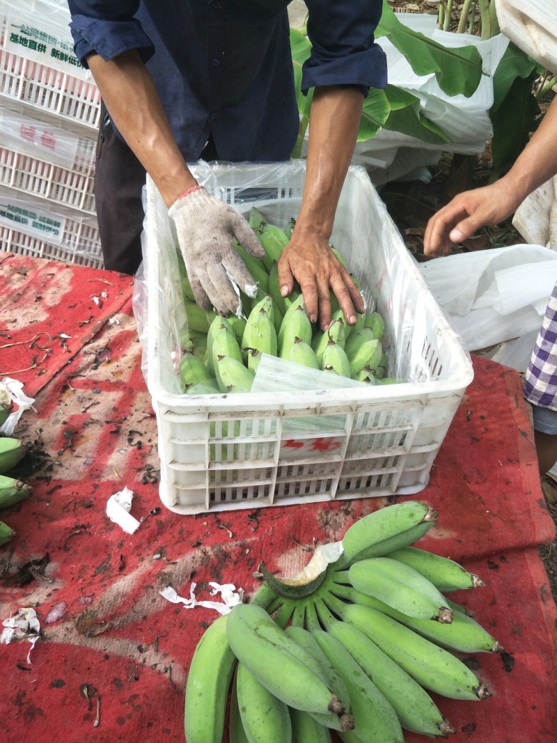 香蕉