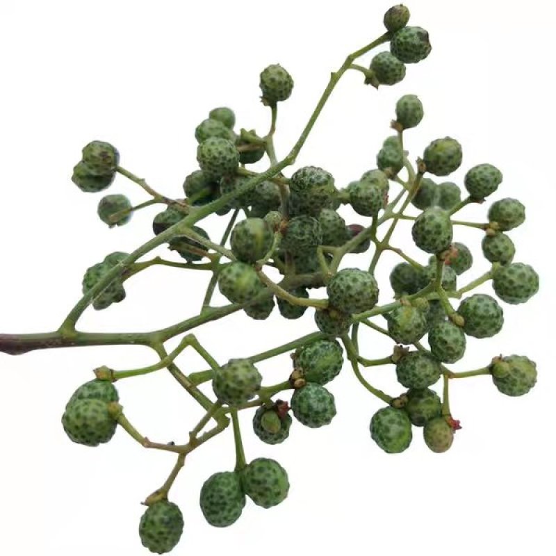 新鲜花椒藤椒青花椒