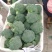 西兰花甘肃兰州高原精品耐寒西兰花每年6月上市