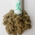 艾柱艾条（买一送一）