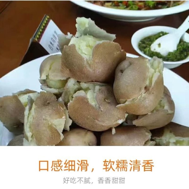 大凉山乌土豆