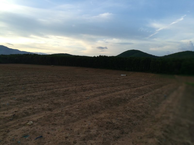 土地，反季节免大棚种植没大风