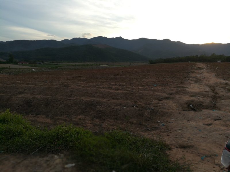 土地，反季节免大棚种植没大风