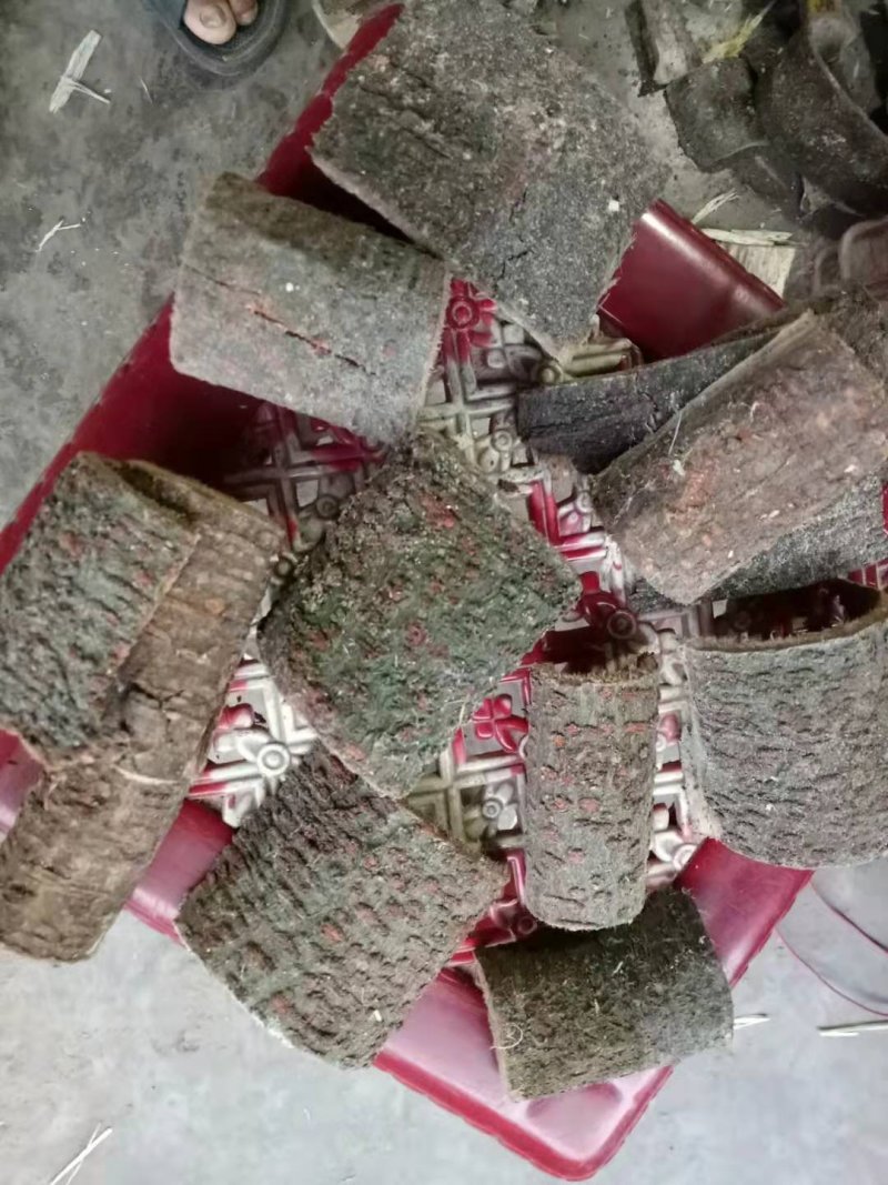 合欢皮