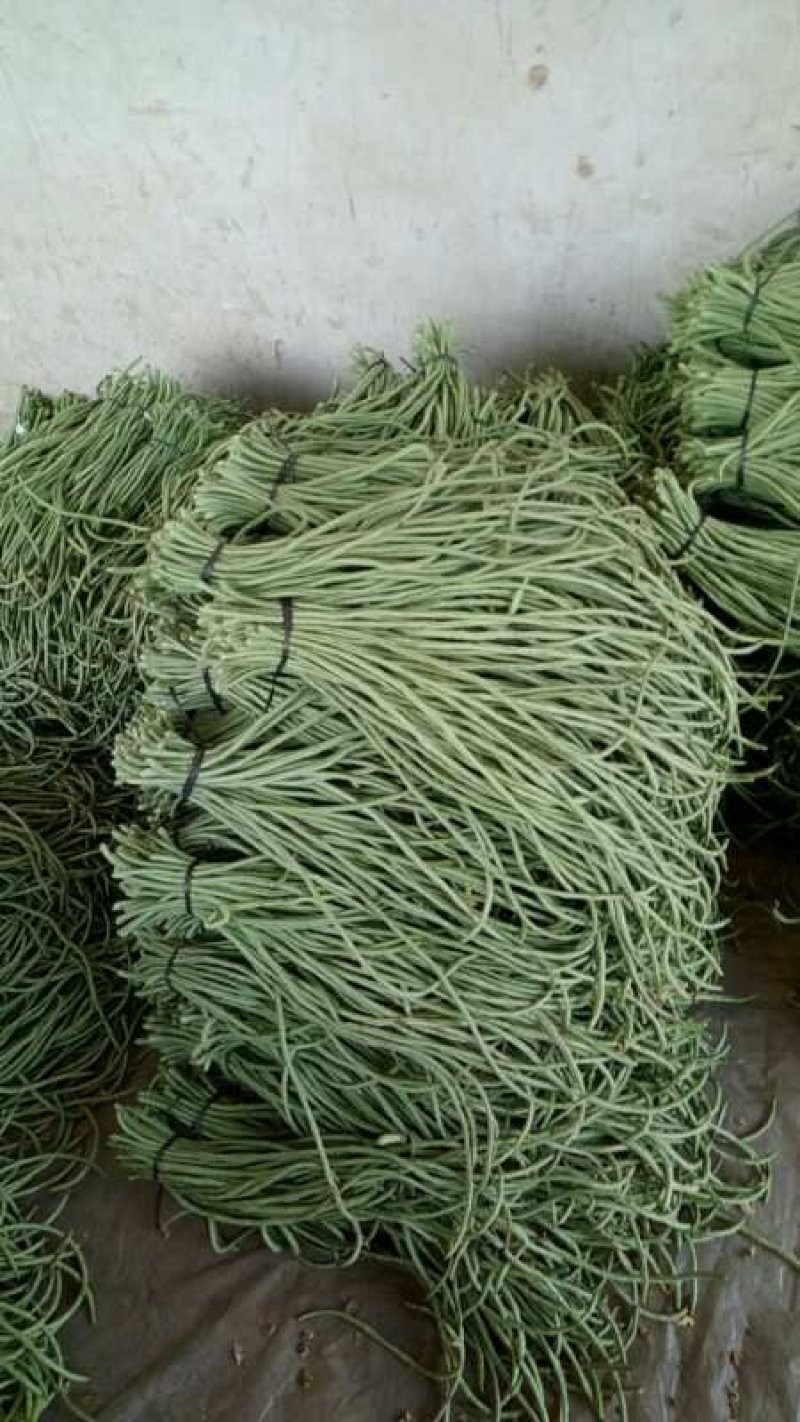 山东单县青条长豆角大量供应，诚信经营，商品上佳，供应期长
