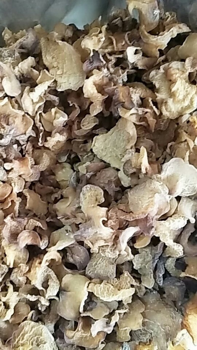 羊肚耳口感香脆10斤包邮