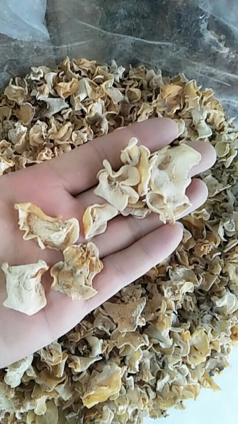 白玉耳干品10斤包邮欢迎选购