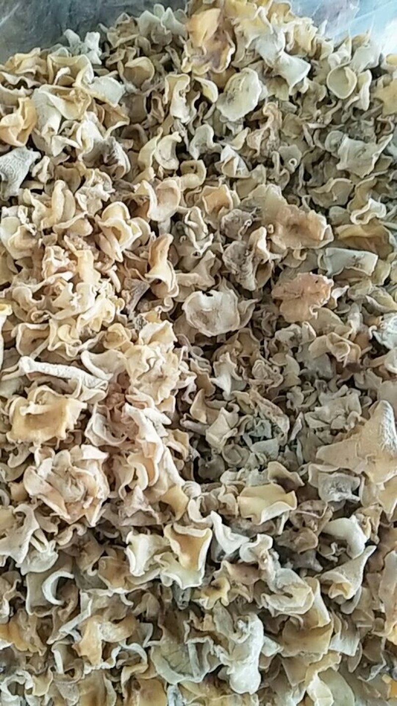 白玉耳干品10斤包邮欢迎选购
