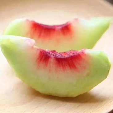 蒙自鹰嘴胭脂水蜜桃