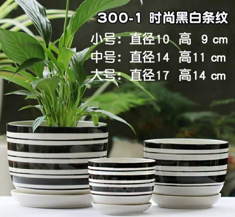 一套包邮，直接可以下单，高音