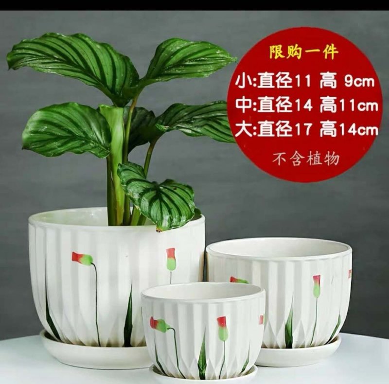 一套包邮，直接可以下单，高音