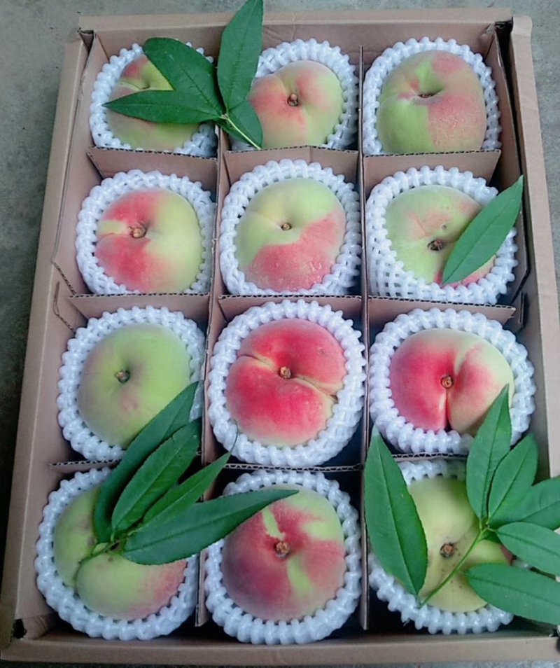 蒙自鹰嘴胭脂水蜜桃
