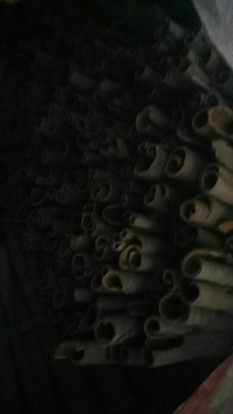 桂皮