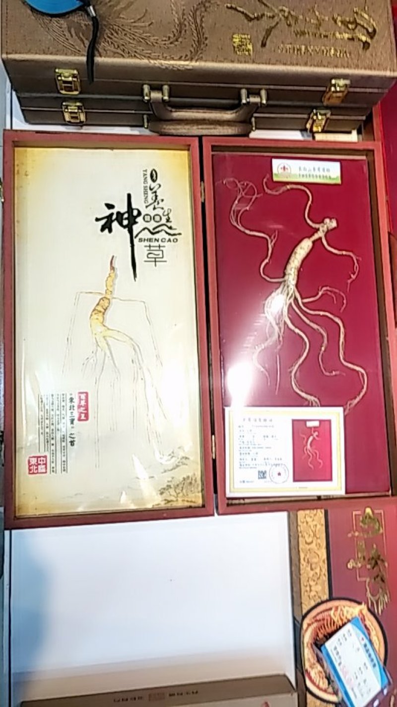 长白山人参干品林下山参礼盒装