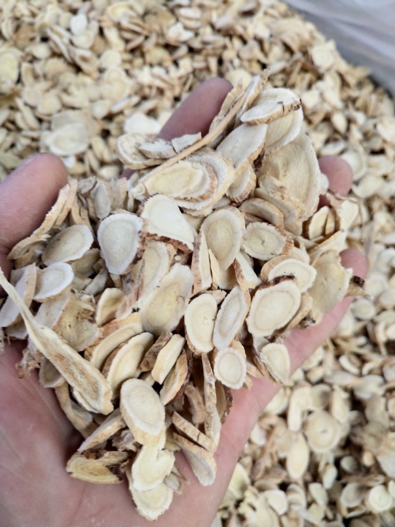 黄芪片4个筛黄芪片无杂质甘肃黄芪片质量保证无条件