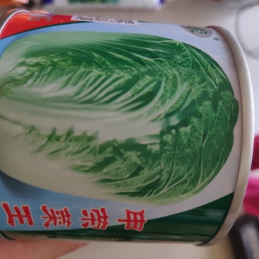 大白菜种子申荣菜王中晚熟杂交秒