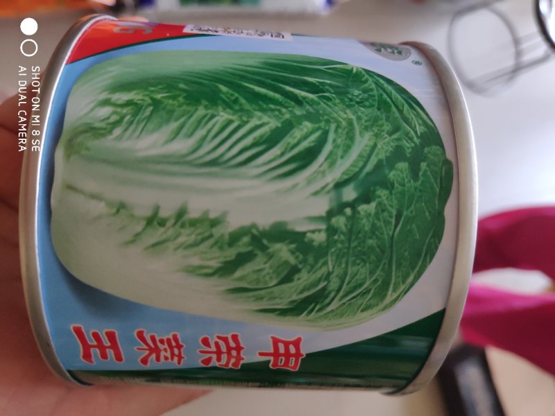 大白菜种子申荣菜王中晚熟杂交秒