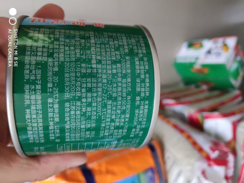 大白菜种子申荣菜王中晚熟杂交秒