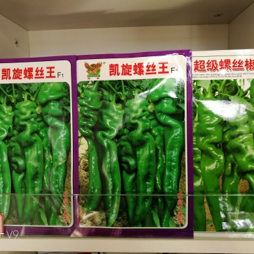 大果螺丝椒、大果陇椒：抗病，高产，品质好，基地专用品种