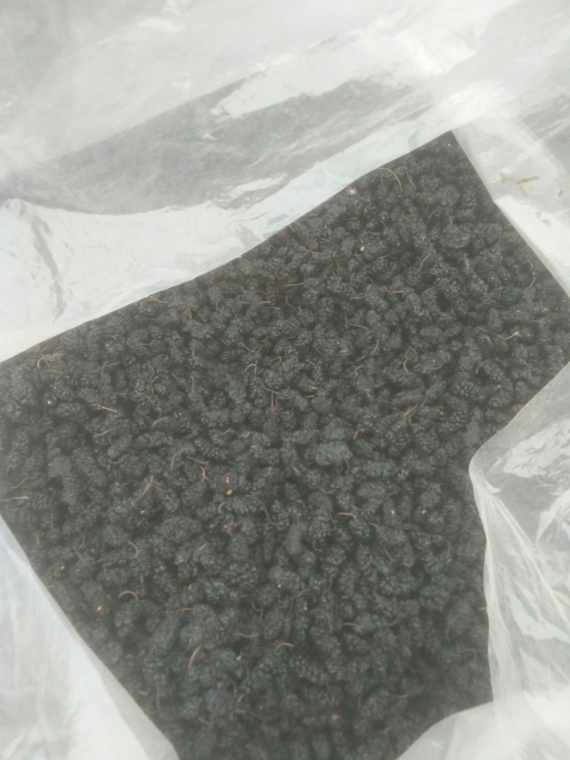 桑椹干，桑椹子大量批发零售，无碎粒免洗，产地发货