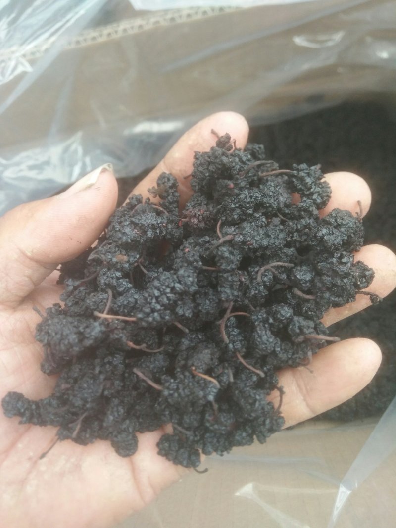 桑椹干，桑椹子大量批发零售，无碎粒免洗，产地发货